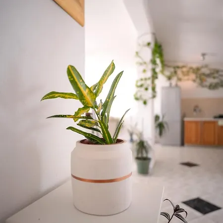 Apartamento Bucket List - Zf Hvar *